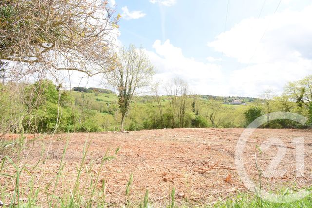 terrain - CREUZIER LE VIEUX - 03