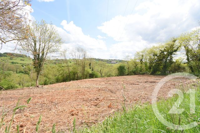 terrain à vendre - 1180.0 m2 - CREUZIER LE VIEUX - 03 - AUVERGNE - Century 21 Gnt Immobilier