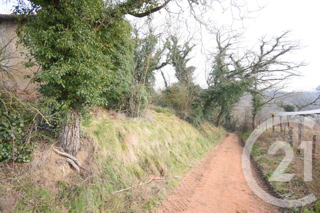 terrain à vendre - 1180.0 m2 - CREUZIER LE VIEUX - 03 - AUVERGNE - Century 21 Gnt Immobilier