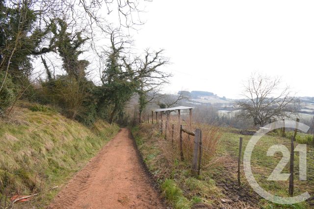 terrain à vendre - 1180.0 m2 - CREUZIER LE VIEUX - 03 - AUVERGNE - Century 21 Gnt Immobilier