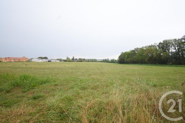 terrain - ST REMY EN ROLLAT - 03