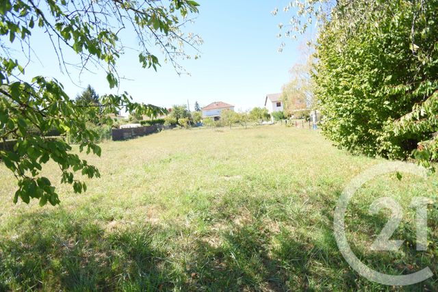 terrain à vendre - 1302.0 m2 - CUSSET - 03 - AUVERGNE - Century 21 Gnt Immobilier