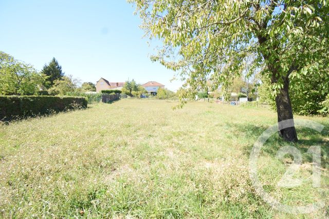 terrain à vendre - 1302.0 m2 - CUSSET - 03 - AUVERGNE - Century 21 Gnt Immobilier