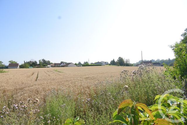 terrain - ST GERAND LE PUY - 03